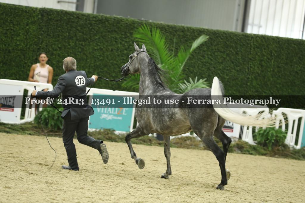 Proof 24R13_13491