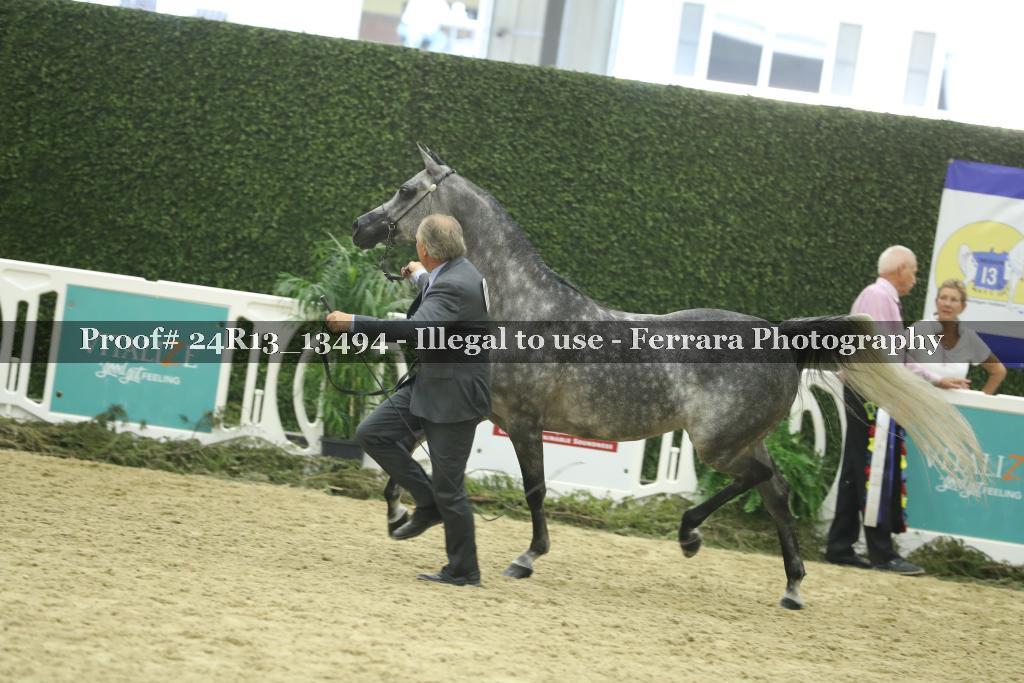 Proof 24R13_13494