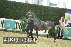 24R13_13494 proof