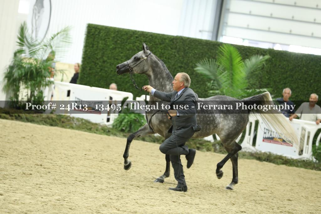Proof 24R13_13495