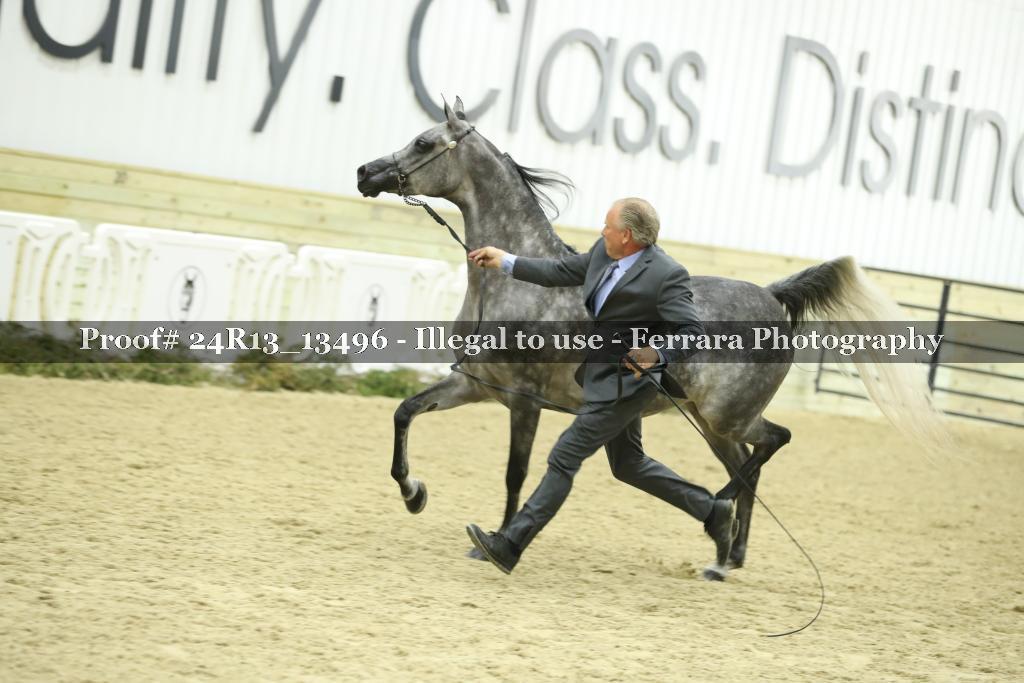 Proof 24R13_13496