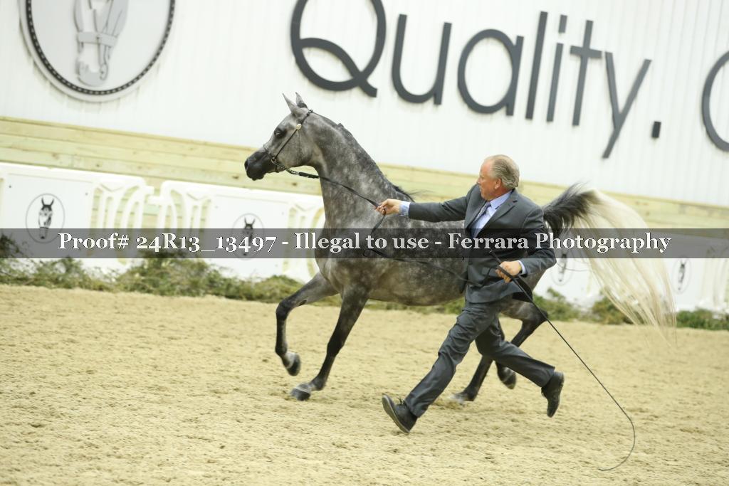 Proof 24R13_13497