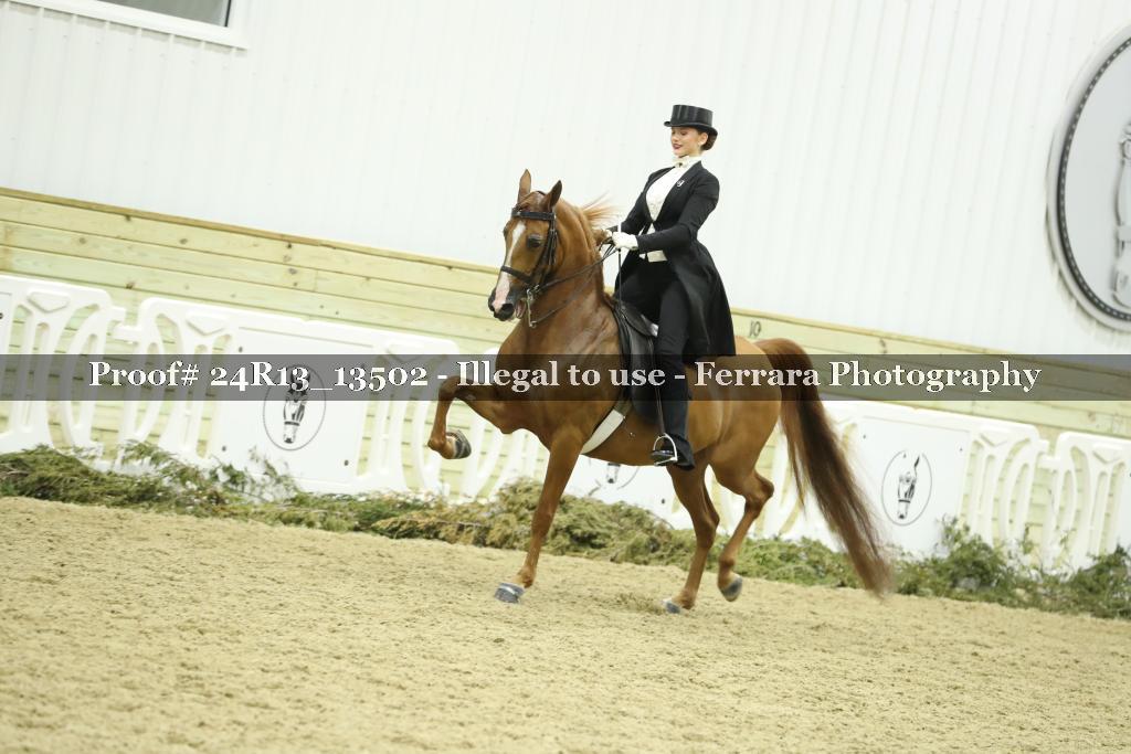 Proof 24R13_13502