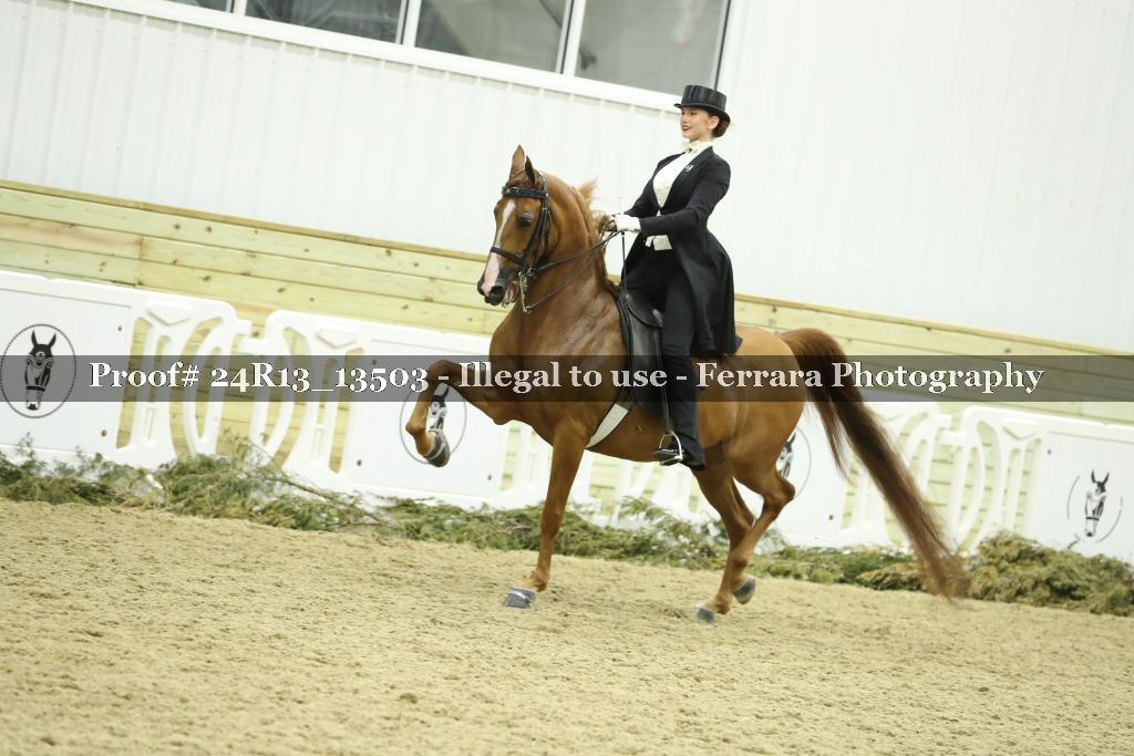 Proof 24R13_13503