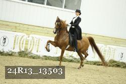 24R13_13503 proof