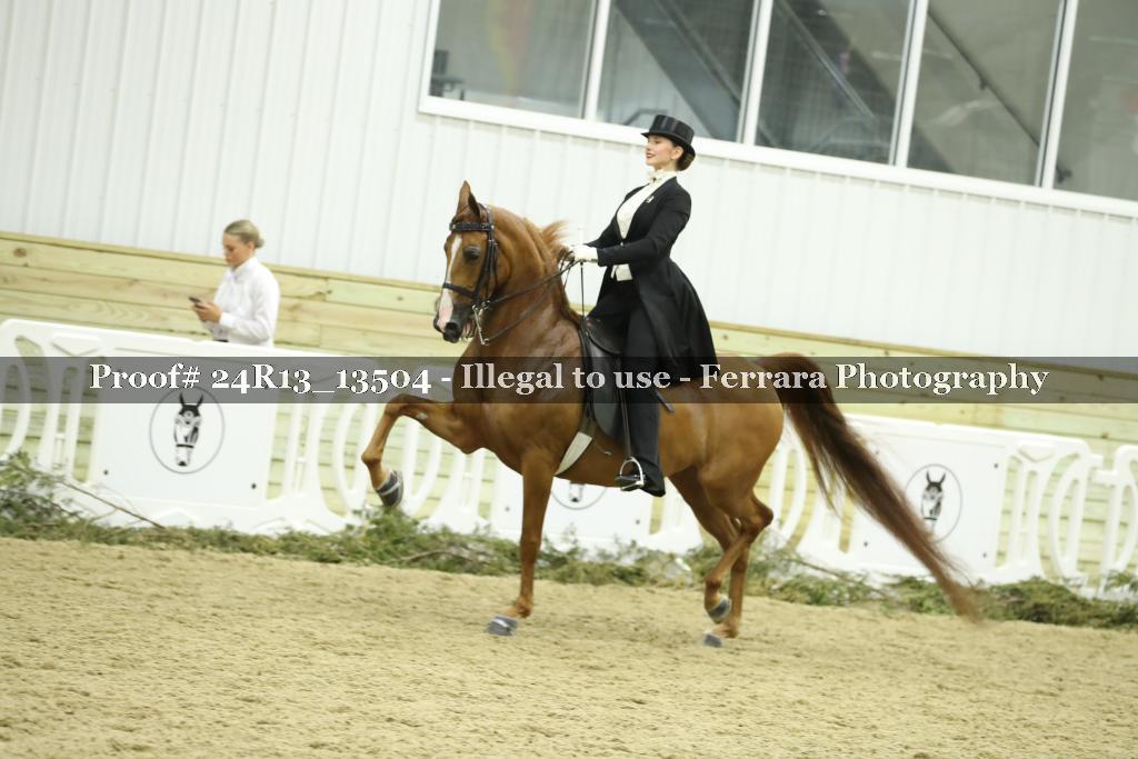 Proof 24R13_13504