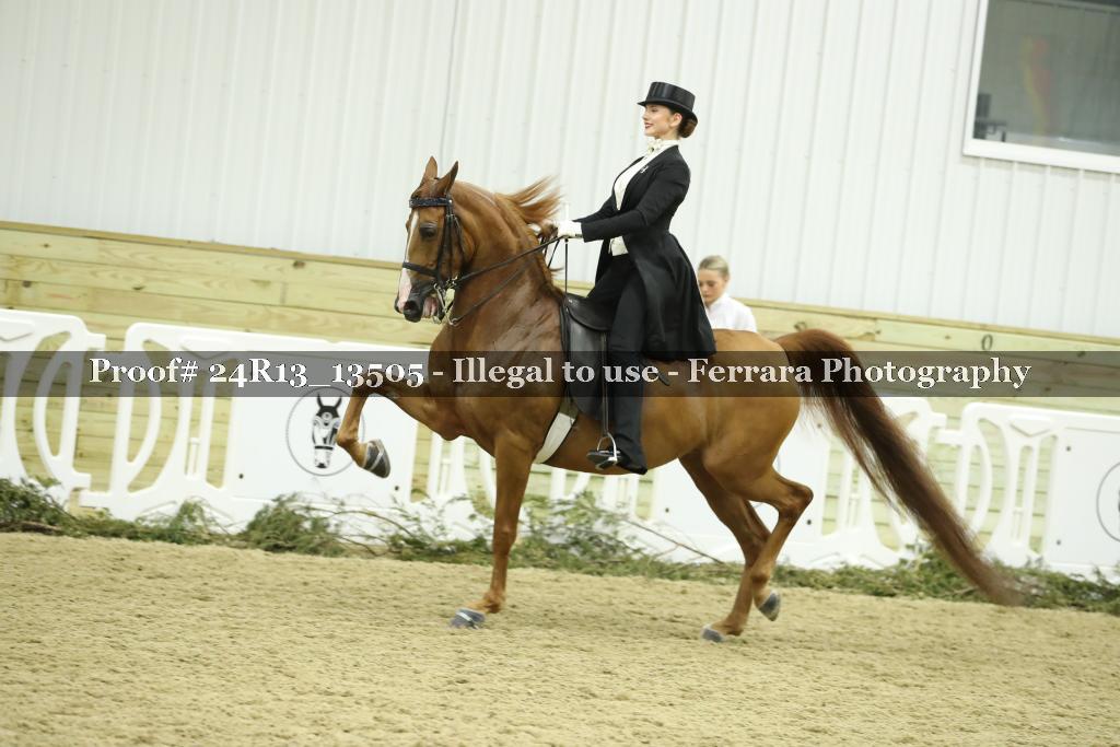 Proof 24R13_13505