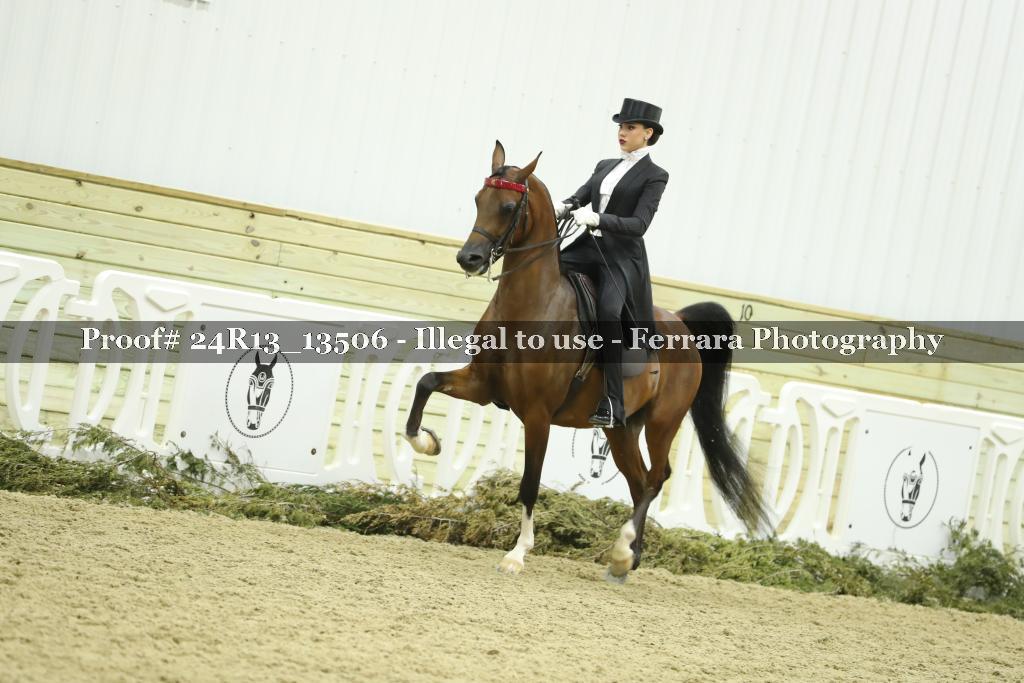 Proof 24R13_13506