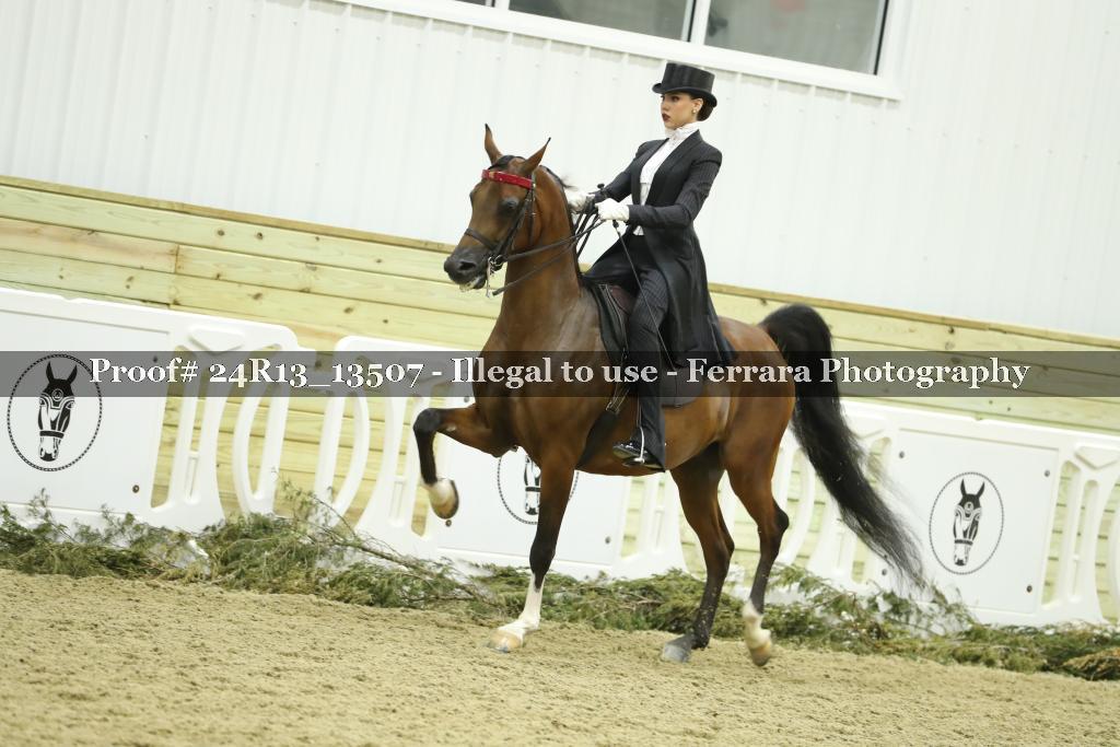 Proof 24R13_13507