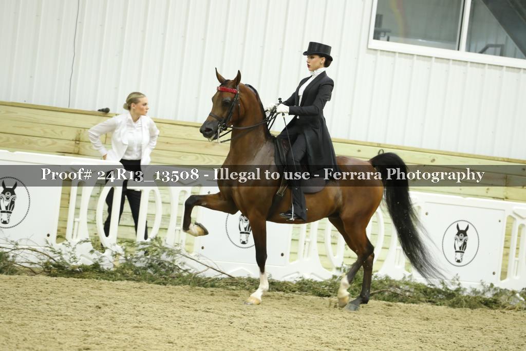Proof 24R13_13508