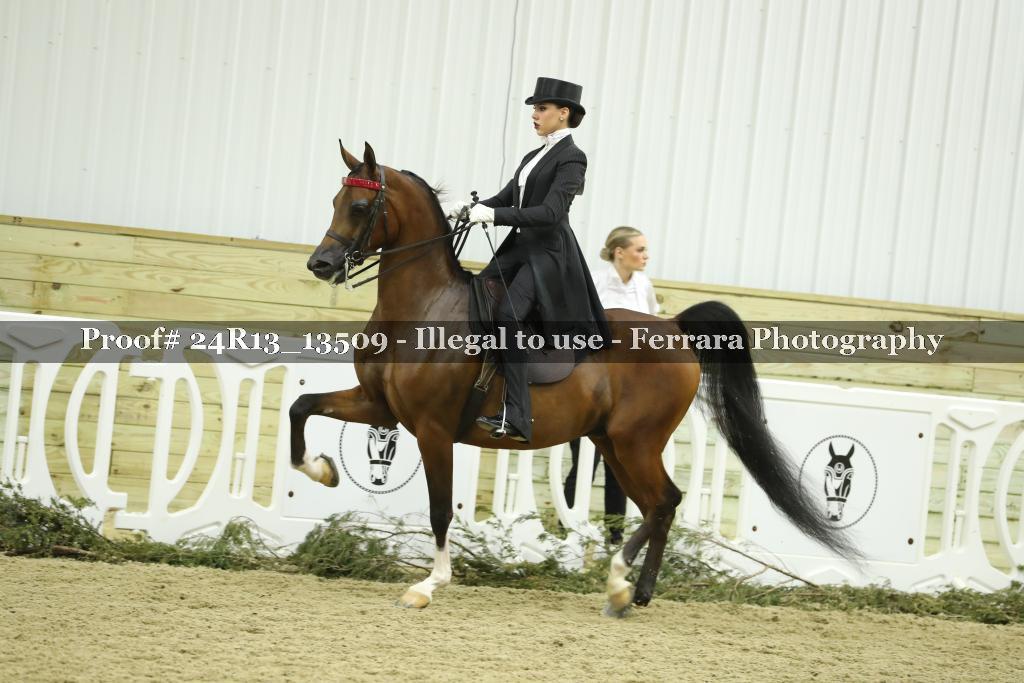Proof 24R13_13509