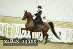 24R13_13509 proof