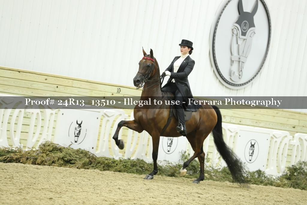 Proof 24R13_13510