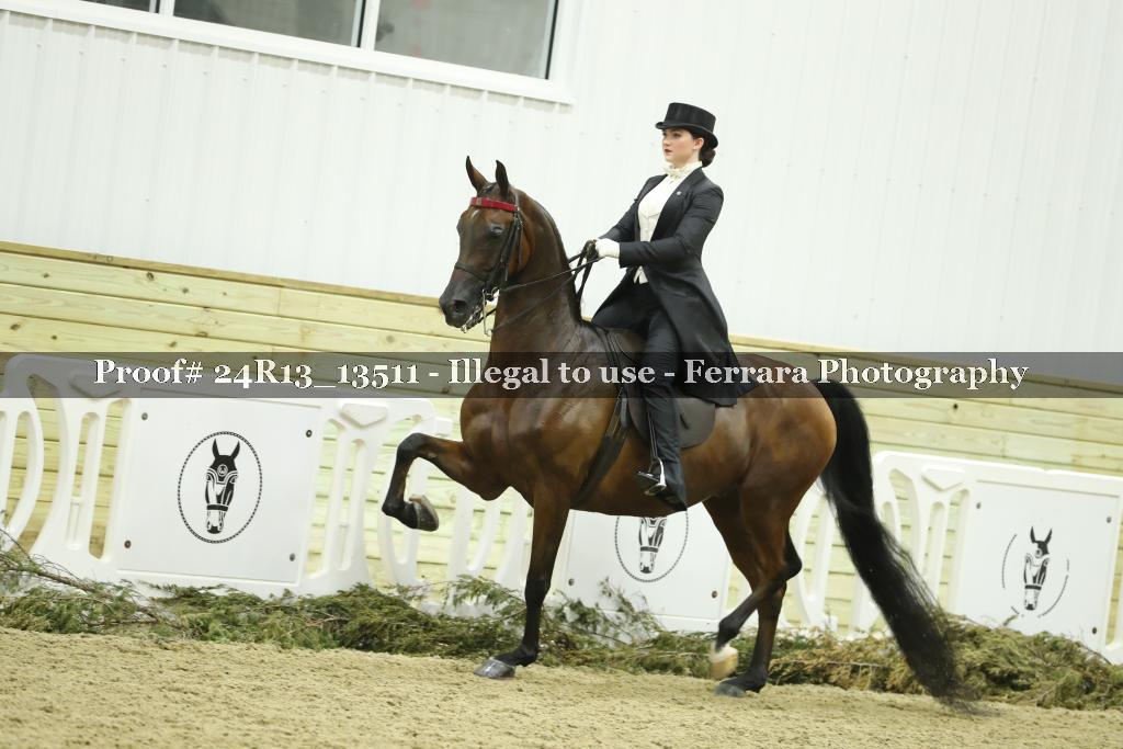 Proof 24R13_13511