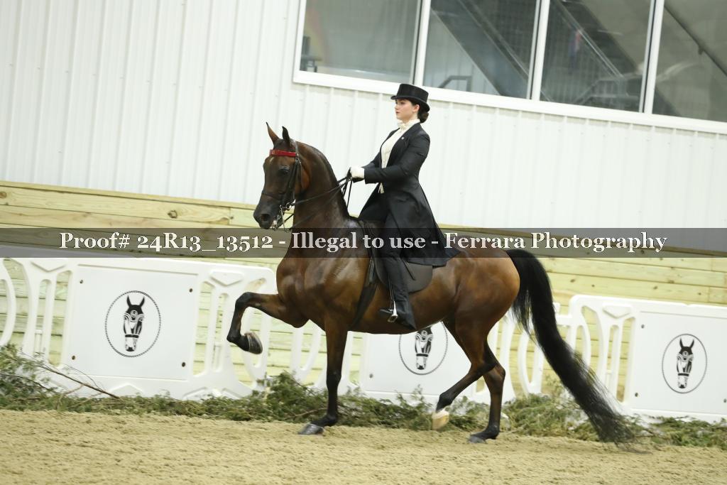 Proof 24R13_13512
