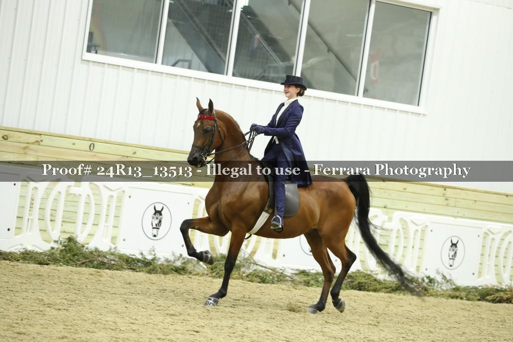 Proof 24R13_13513