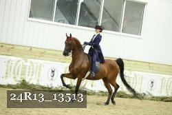 24R13_13513 proof