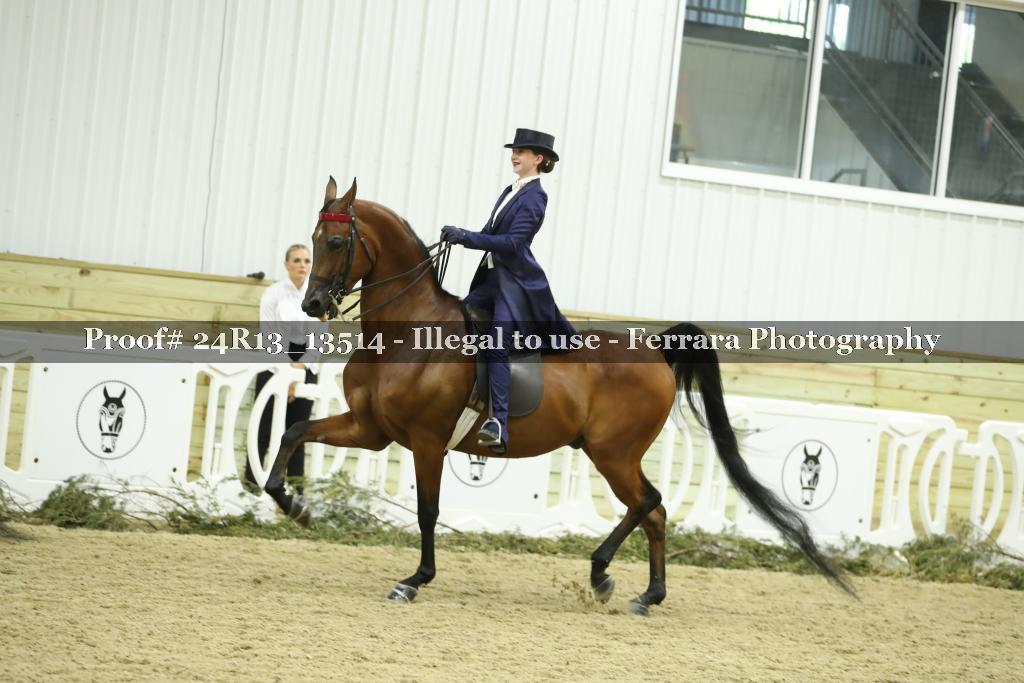 Proof 24R13_13514