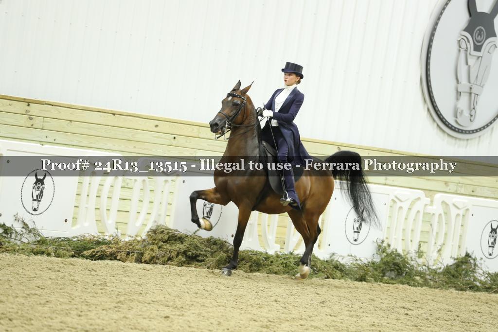 Proof 24R13_13515