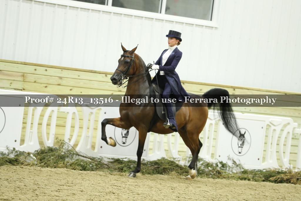 Proof 24R13_13516