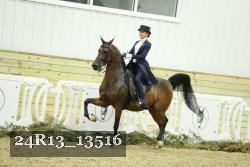 24R13_13516 proof