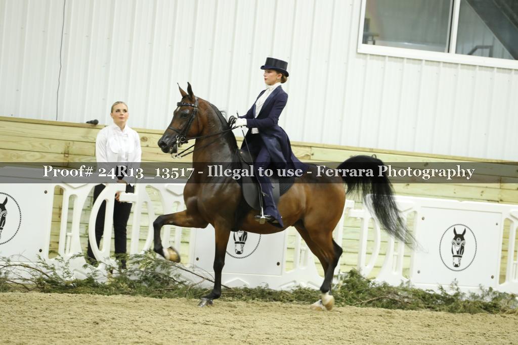 Proof 24R13_13517