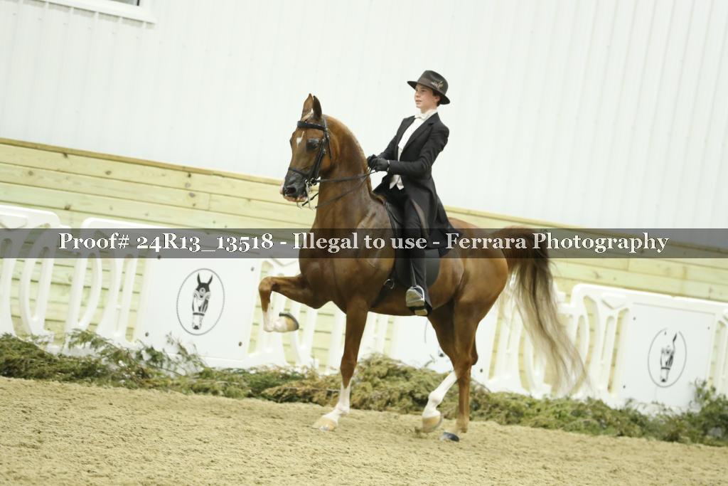 Proof 24R13_13518