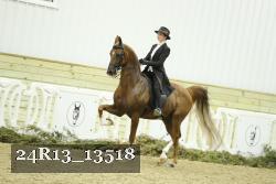 24R13_13518 proof