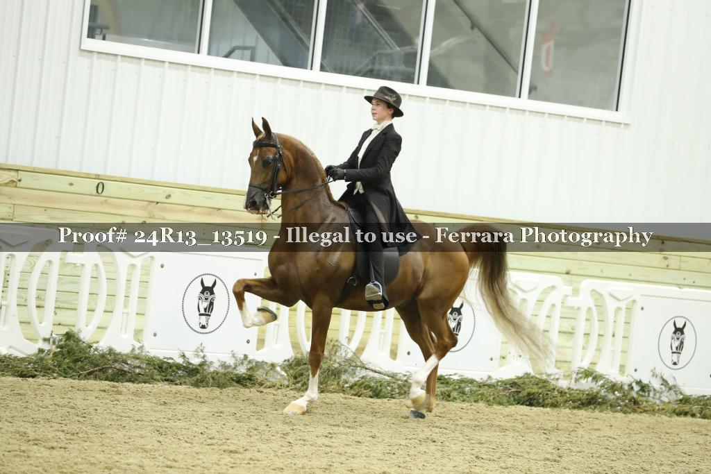 Proof 24R13_13519