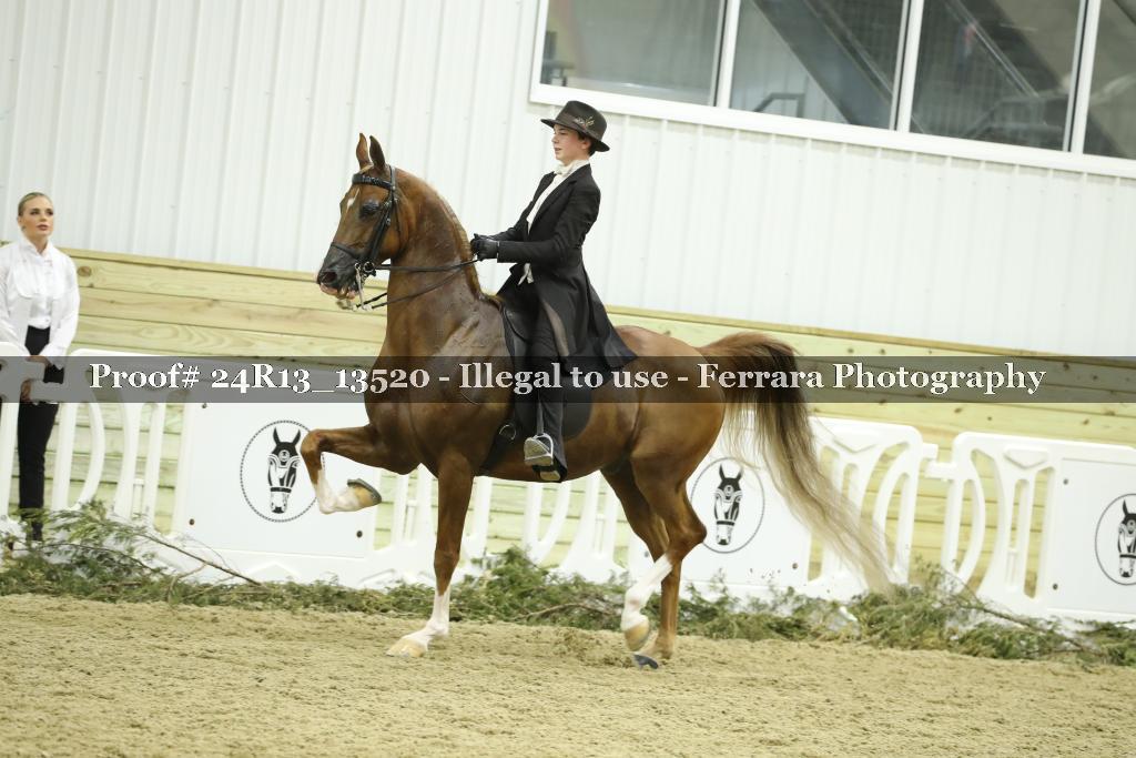 Proof 24R13_13520