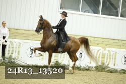 24R13_13520 proof