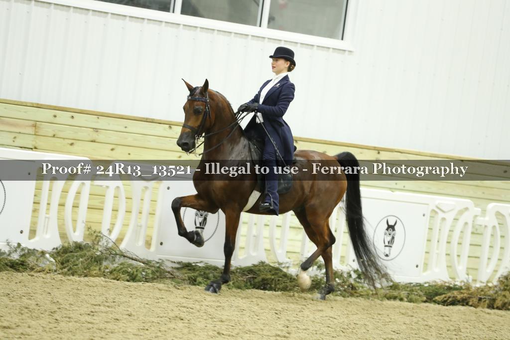 Proof 24R13_13521