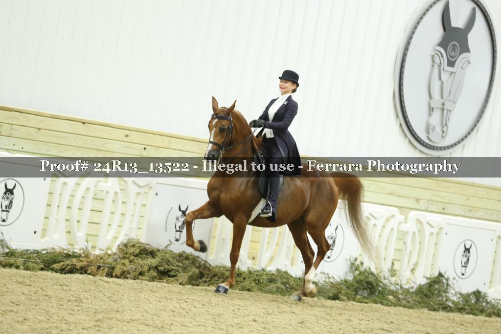 Proof 24R13_13522