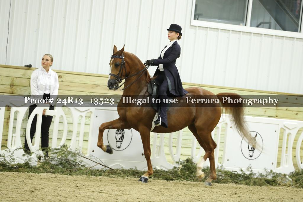 Proof 24R13_13523