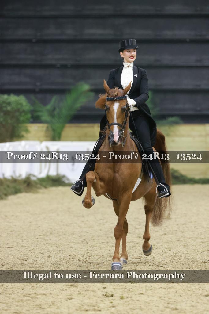 Proof 24R13_13524