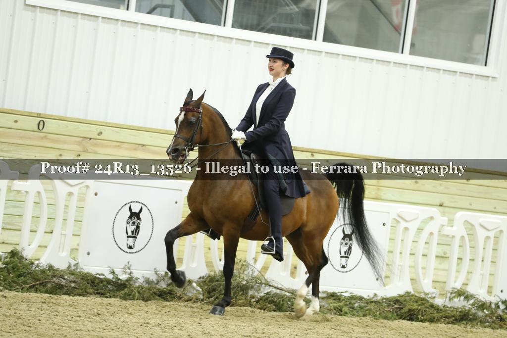 Proof 24R13_13526