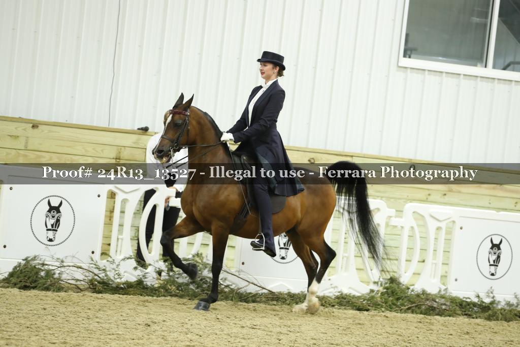 Proof 24R13_13527