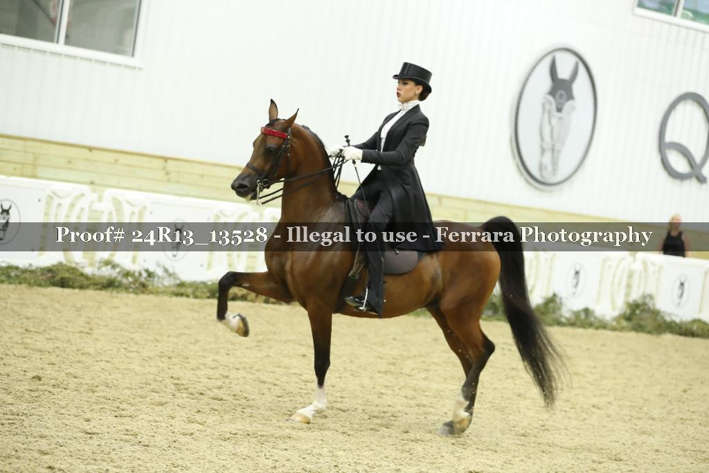 Proof 24R13_13528