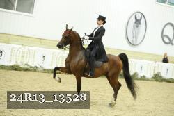 24R13_13528 proof