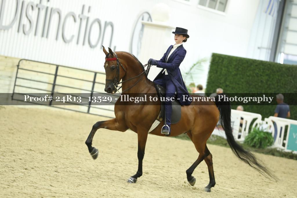 Proof 24R13_13529