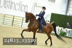 24R13_13529 proof