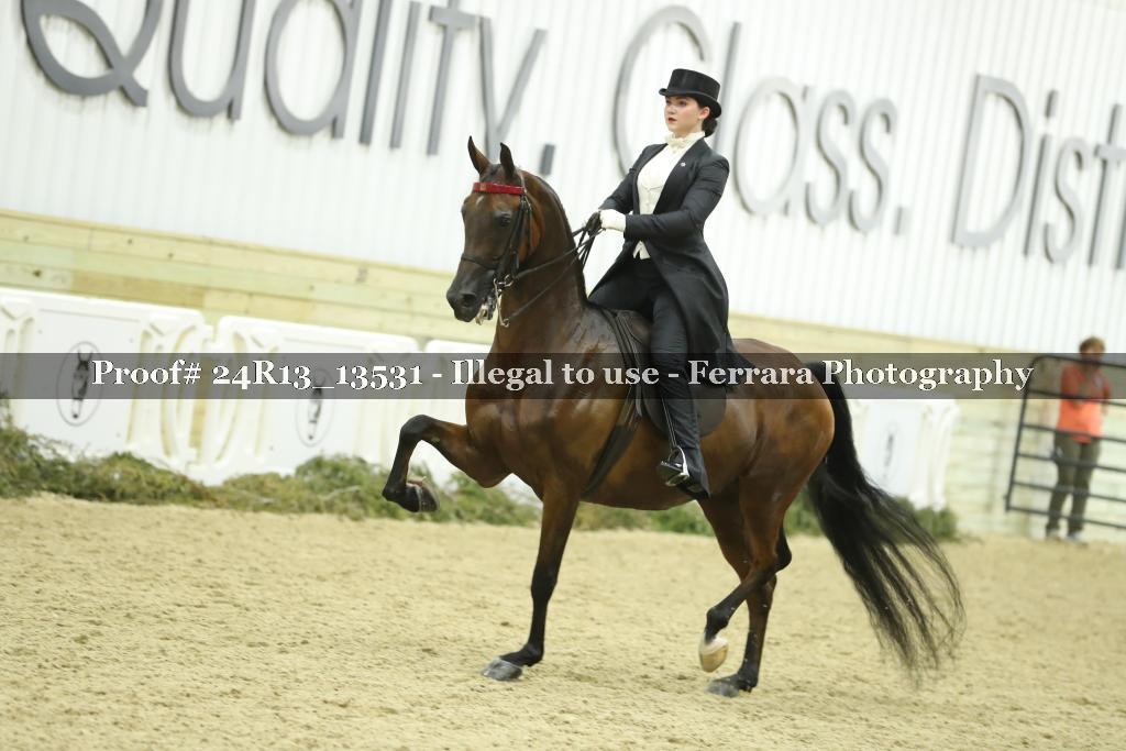Proof 24R13_13531
