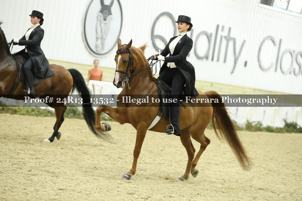 Proof 24R13_13532