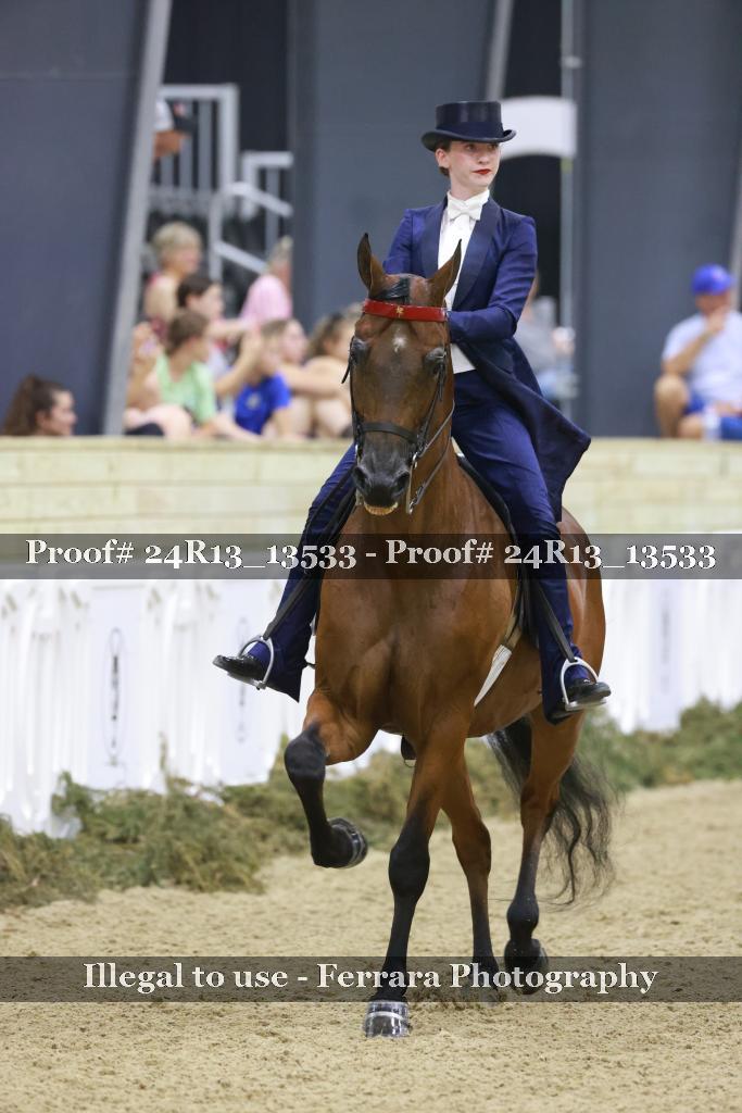 Proof 24R13_13533