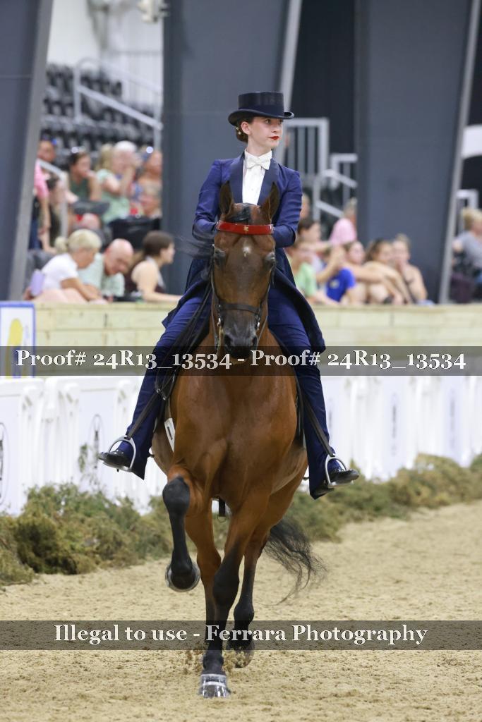Proof 24R13_13534