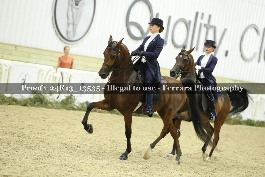 Proof 24R13_13535