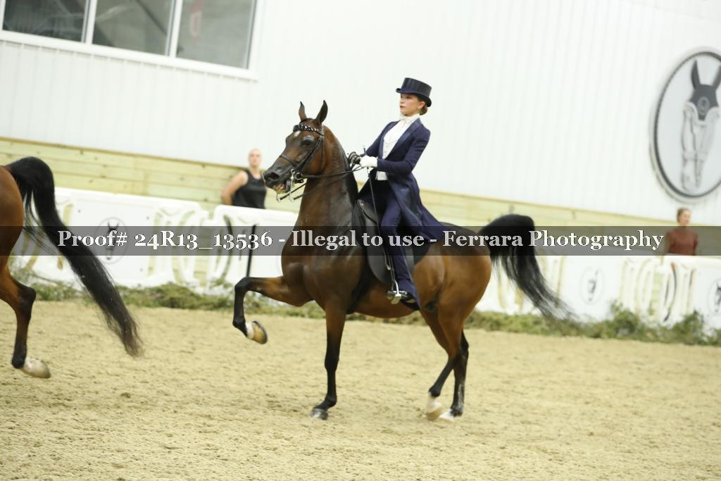 Proof 24R13_13536