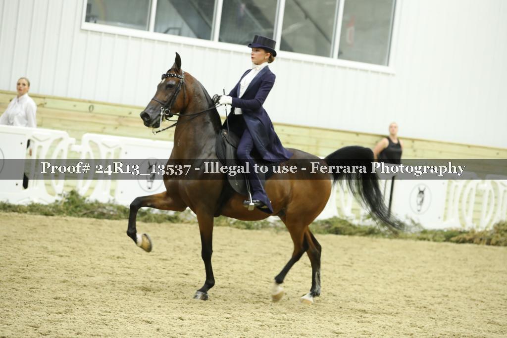 Proof 24R13_13537
