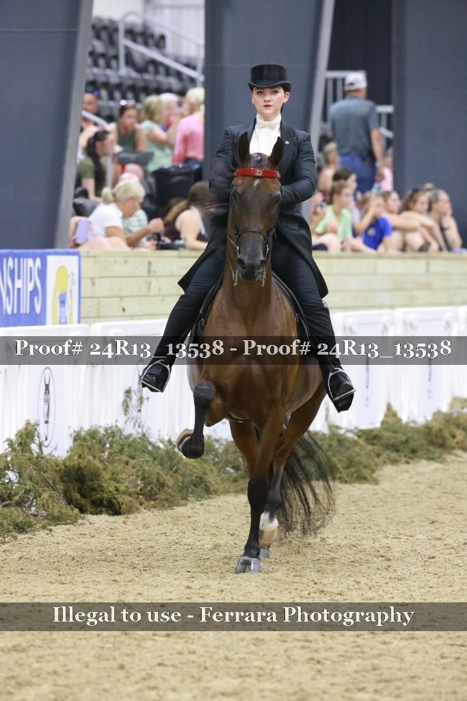 Proof 24R13_13538