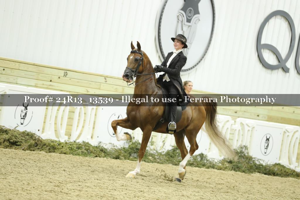 Proof 24R13_13539